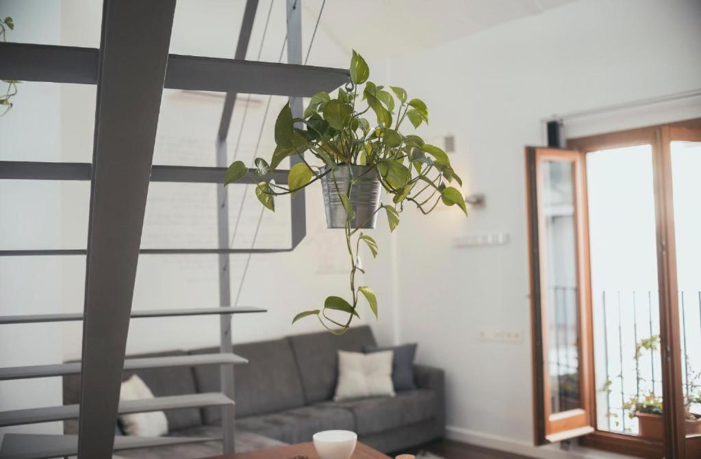 Trigo Homes قرطبة المظهر الخارجي الصورة